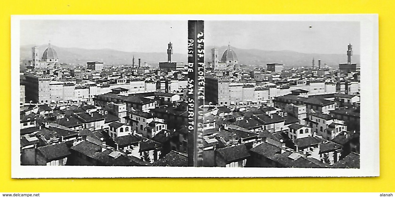 Vues Stéréos FLORENCE Vue Générale Prise De San Spirito - Stereo-Photographie