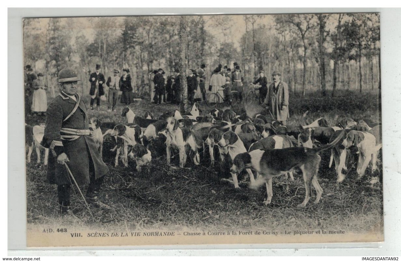 14 MONTFIQUET SCENES DE VIE NORMANDE CHASSE A COURRE FORET DE CERISY PIQUEUR ET MEUTE N° 463 AD - Other & Unclassified