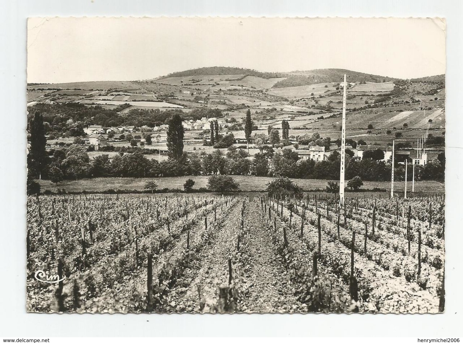 71 Saone Et Loire Azé Les Vignobles De Vin Vignes , Et Montagne D'aisne , 1967 - Other & Unclassified