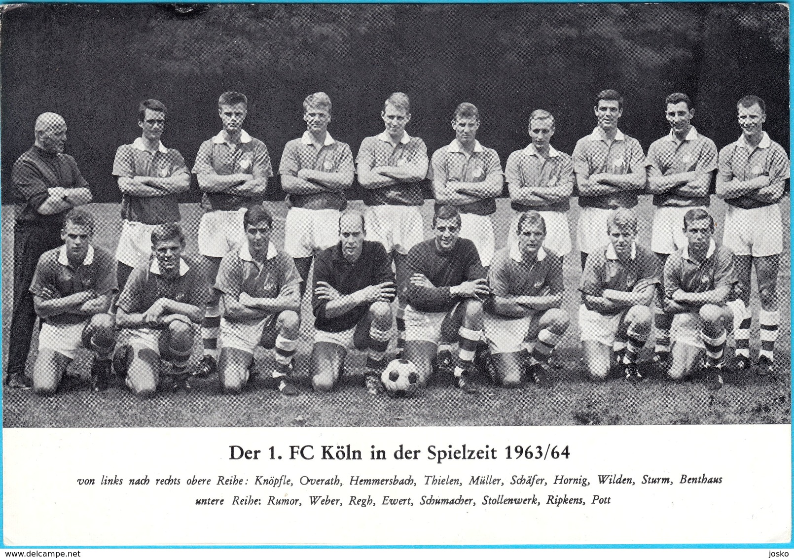 1. FC KOLN - Germany Football Club Old Photo 1963/64. * With Autographs On Back - Print * Soccer Fussball Deutschland - Handtekening