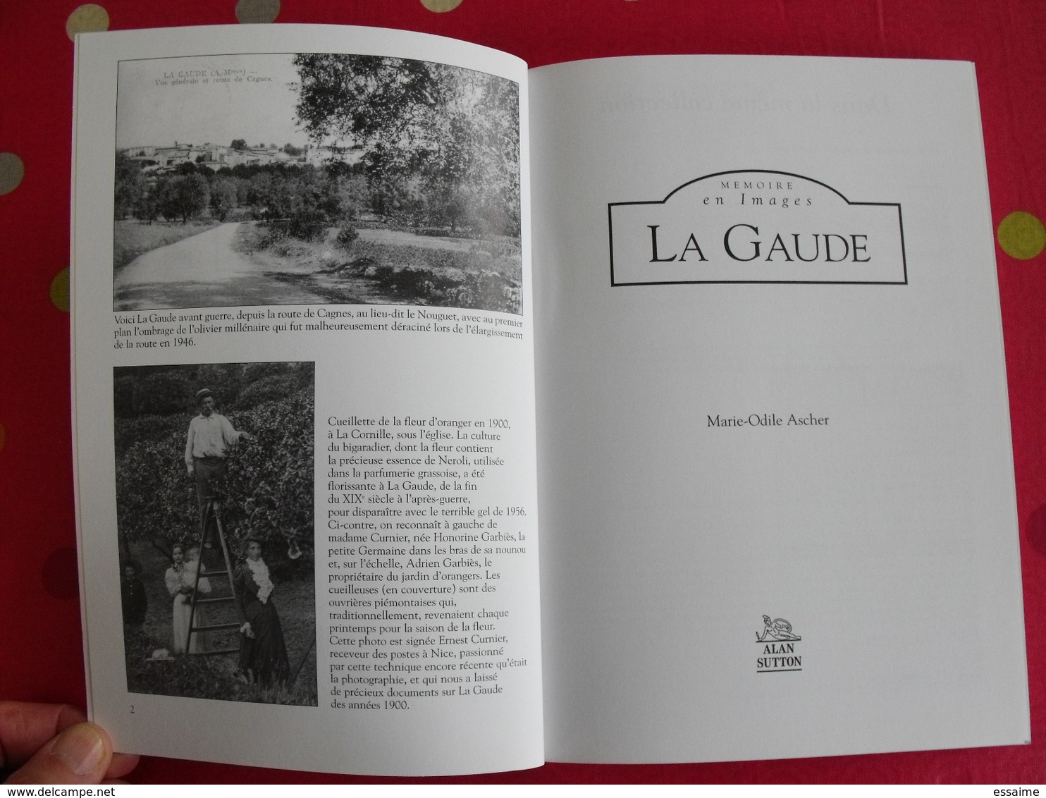 La Gaude. Provence. Marie-Odile Ascher. Mémoire En Images. éditions Alan Sutton. 2003. Cartes Postales Photos - Provence - Alpes-du-Sud