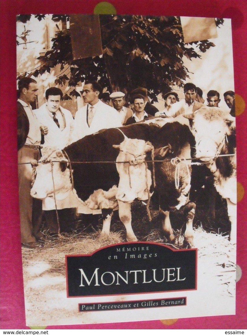 Montluel. Ain. Perceveaux & Bernard. Mémoire En Images. éditions Alan Sutton. 2007. Cartes Postales Photos - Rhône-Alpes