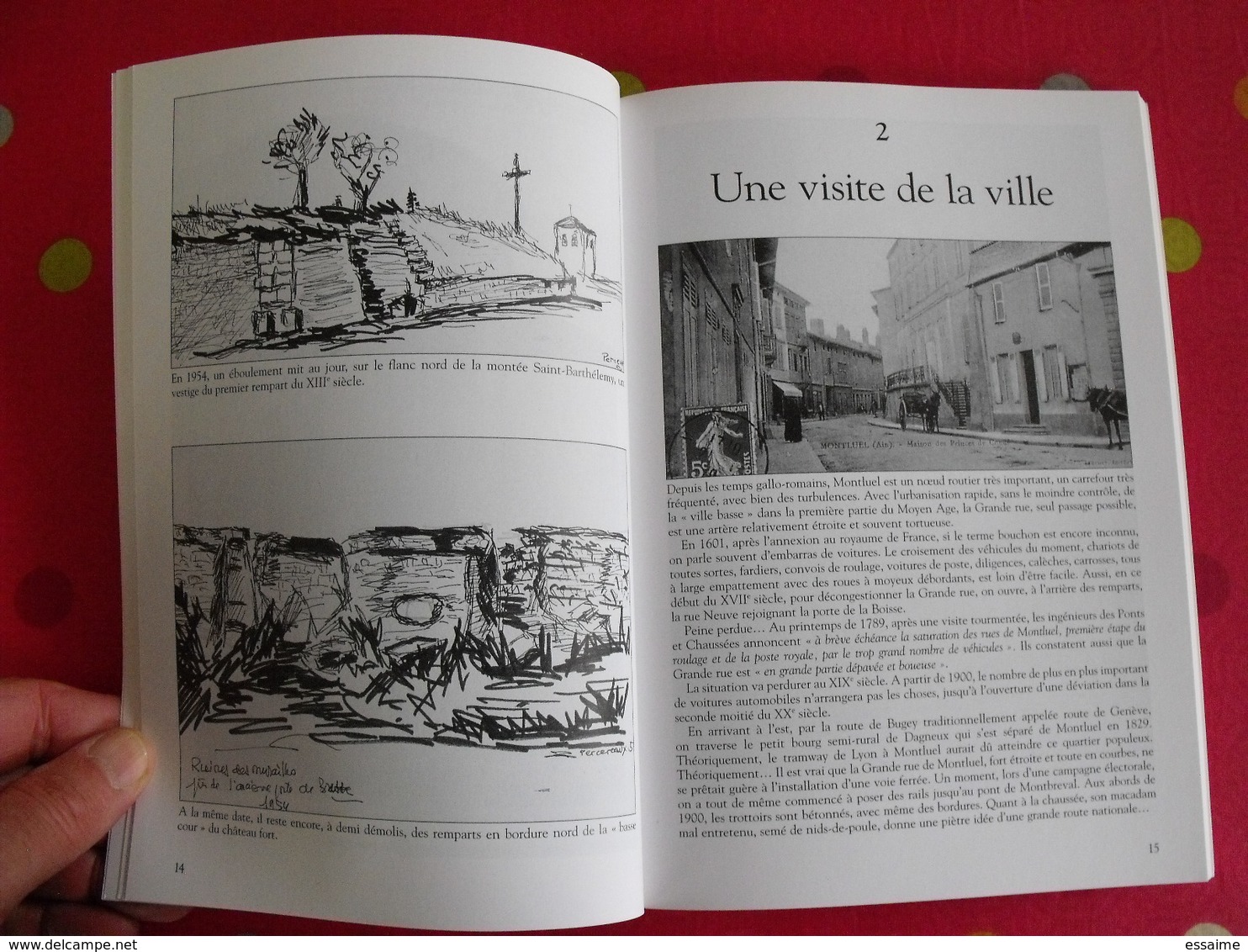 Montluel. Ain. Perceveaux & Bernard. Mémoire En Images. éditions Alan Sutton. 2007. Cartes Postales Photos - Rhône-Alpes