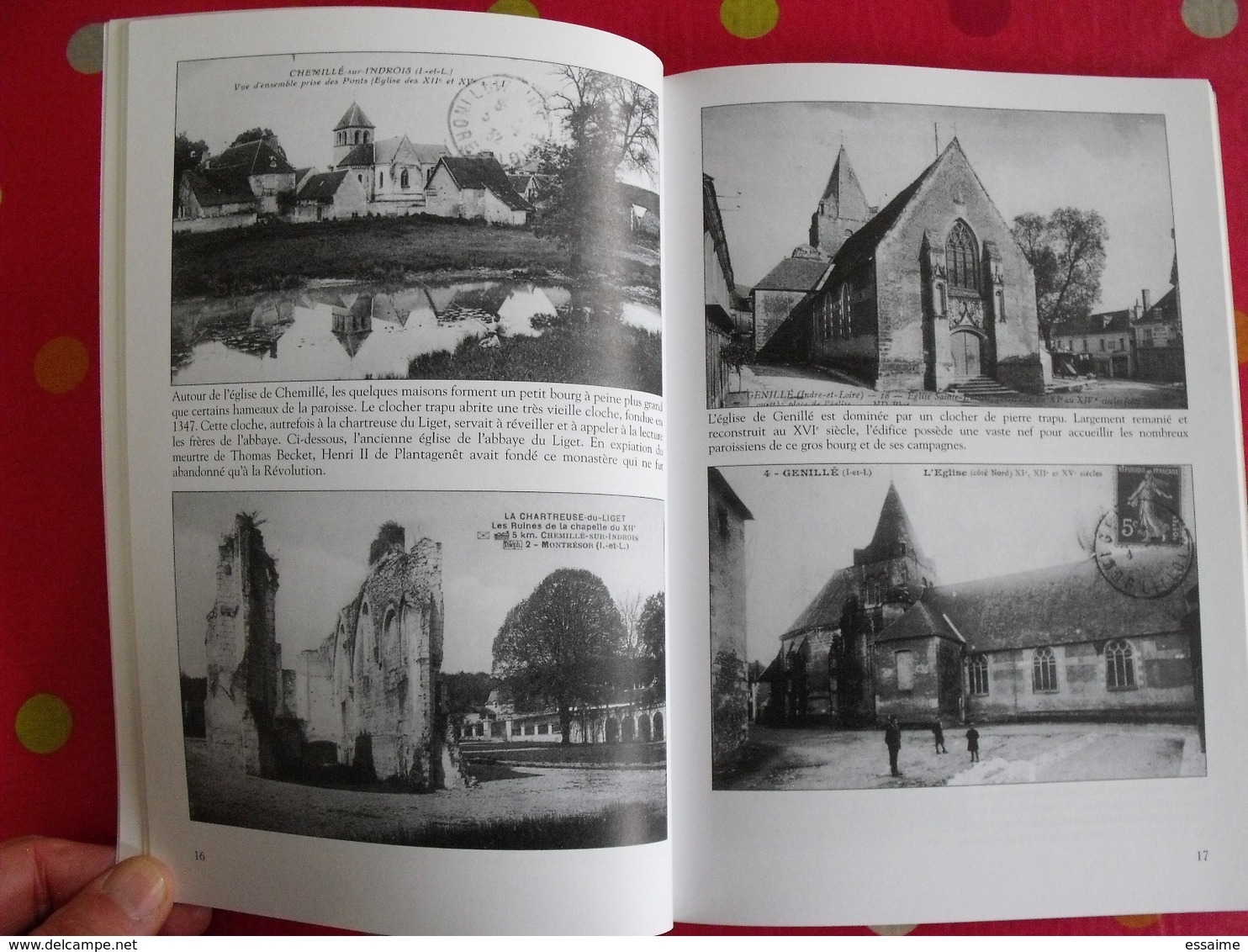 La Gâtine De Montrésor. Indre& Loire. Gaultier. Mémoire En Images. éditions Alan Sutton. 2004. Cartes Postales Photos - Centre - Val De Loire