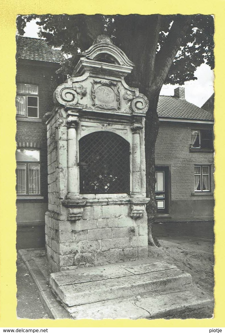 * Kortenberg - Cortenbergh (Vlaams Brabant) * (Uitg Verduystert) Kapellestraat, Monument, Mémorial, Photo, Rare - Kortenberg