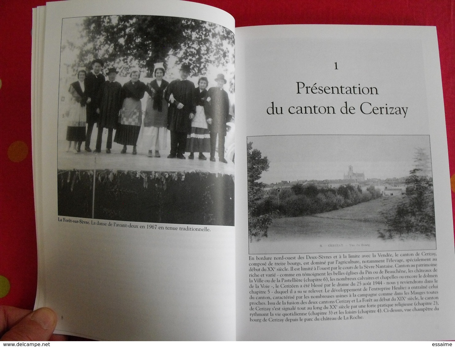 Le Canton De Cerisay. Deux-Sèvres. G.Saint-Didier. Mémoire En Images. éditions Alan Sutton. 2007. Cartes Postales Photos - Poitou-Charentes