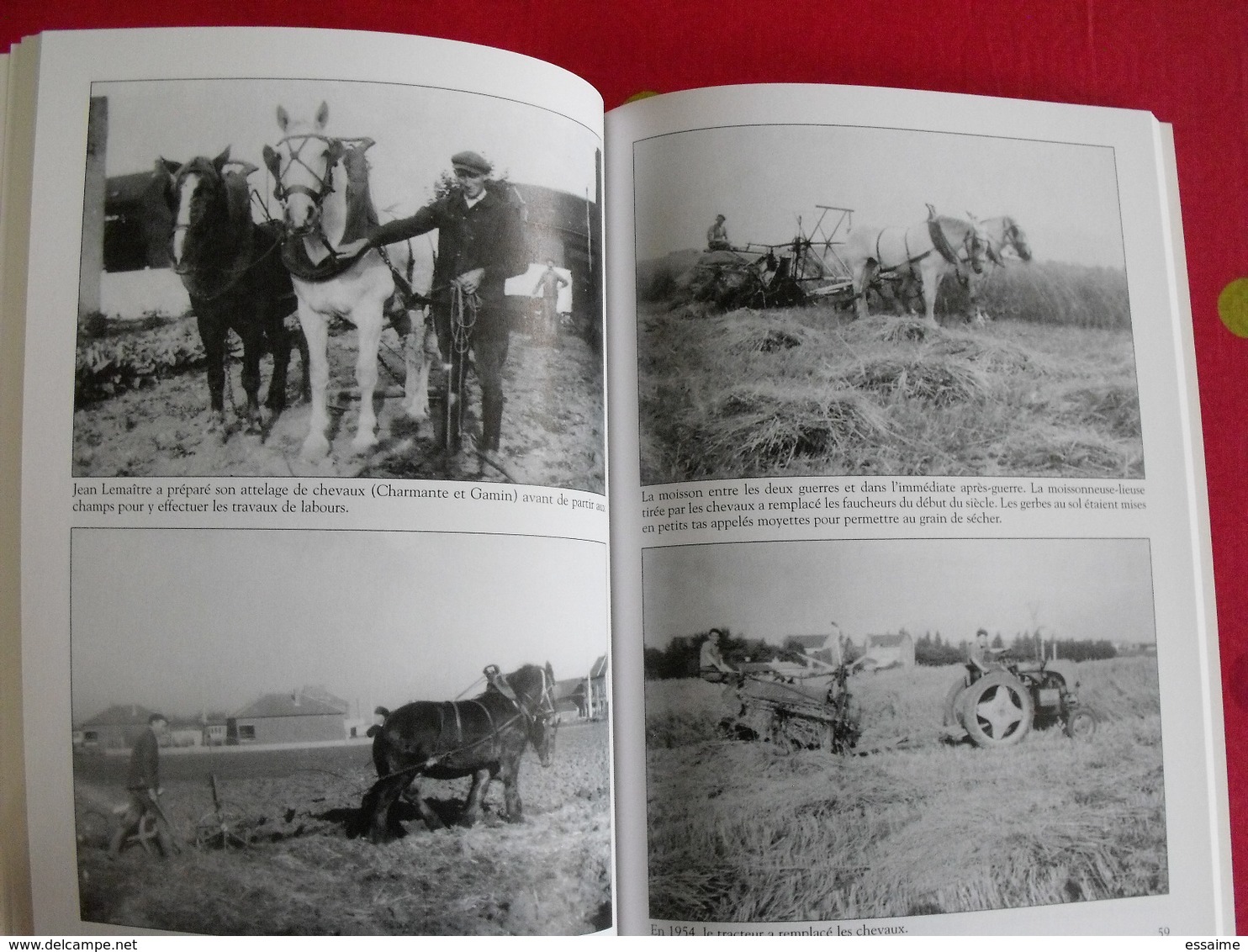 Noyelles-sous-Lens. Pas-de-Calais. Mémoire en images. éditions Alan Sutton. 2006. cartes postales photos