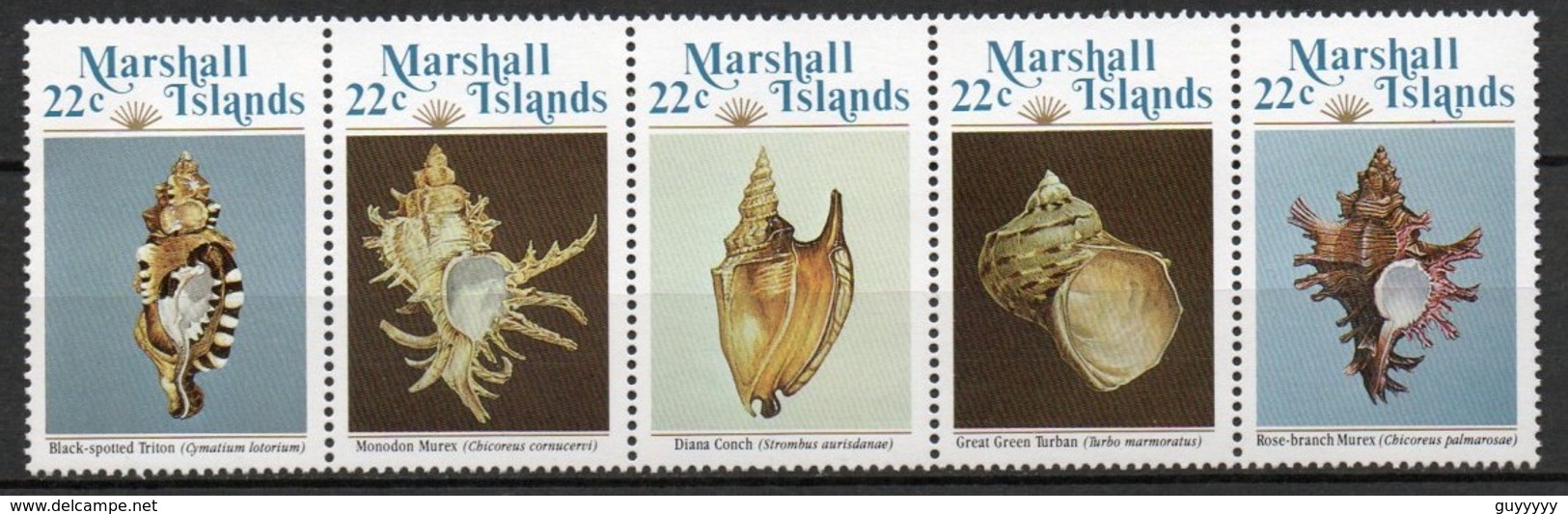 Iles Marshall - 1985 - Yvert N° 73 à 77 **  - Coquillages - Marshall