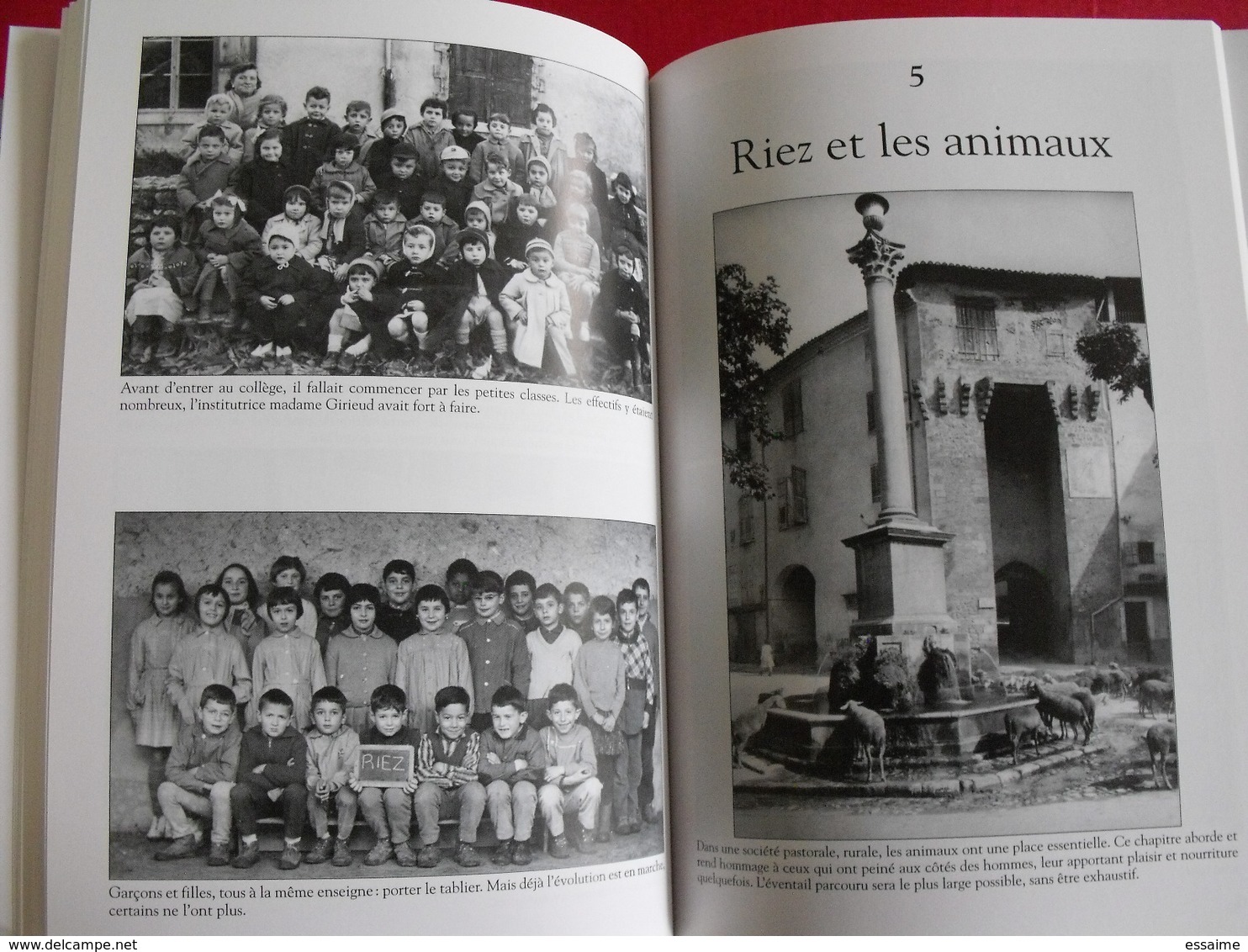 Riez-la Romaine. Alpes provence. Mespoulède. Mémoire en images. éditions Alan Sutton. 2008. cartes postales photos
