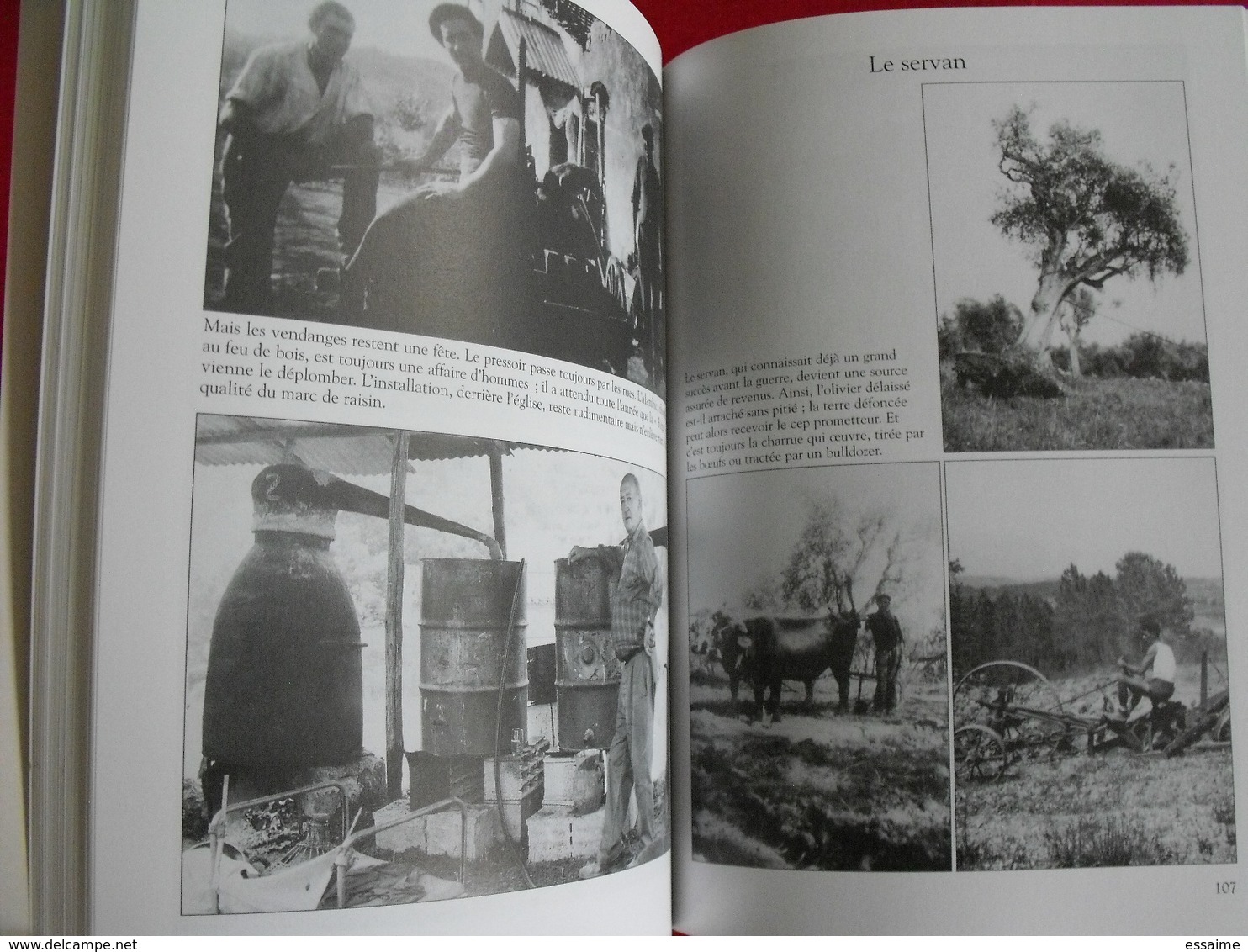 Valbonne. Alpes-maritimes Provence. Mémoire en images. éditions Alan Sutton. 2000. cartes postales photos