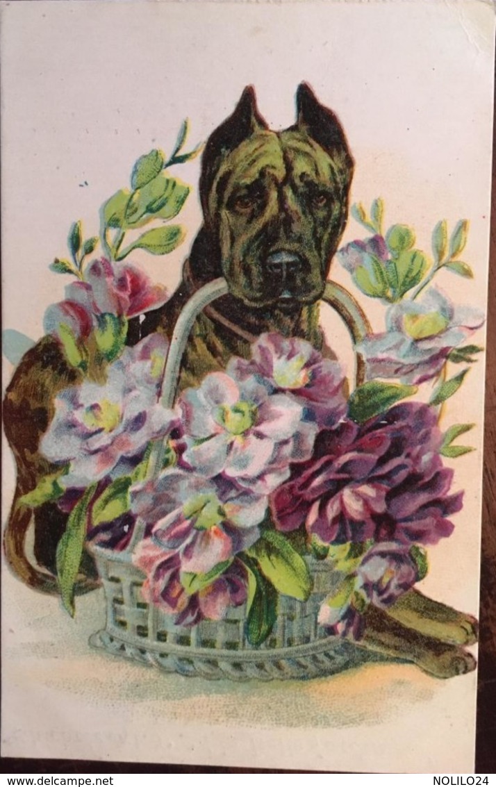 Cpa, Illustrateur, Chien, Panier De Fleurs, Dos Publicité "Chicorée Extra "A La Belle Jardinière, C.BERIOT-LILLE 59-Nord - Sin Clasificación