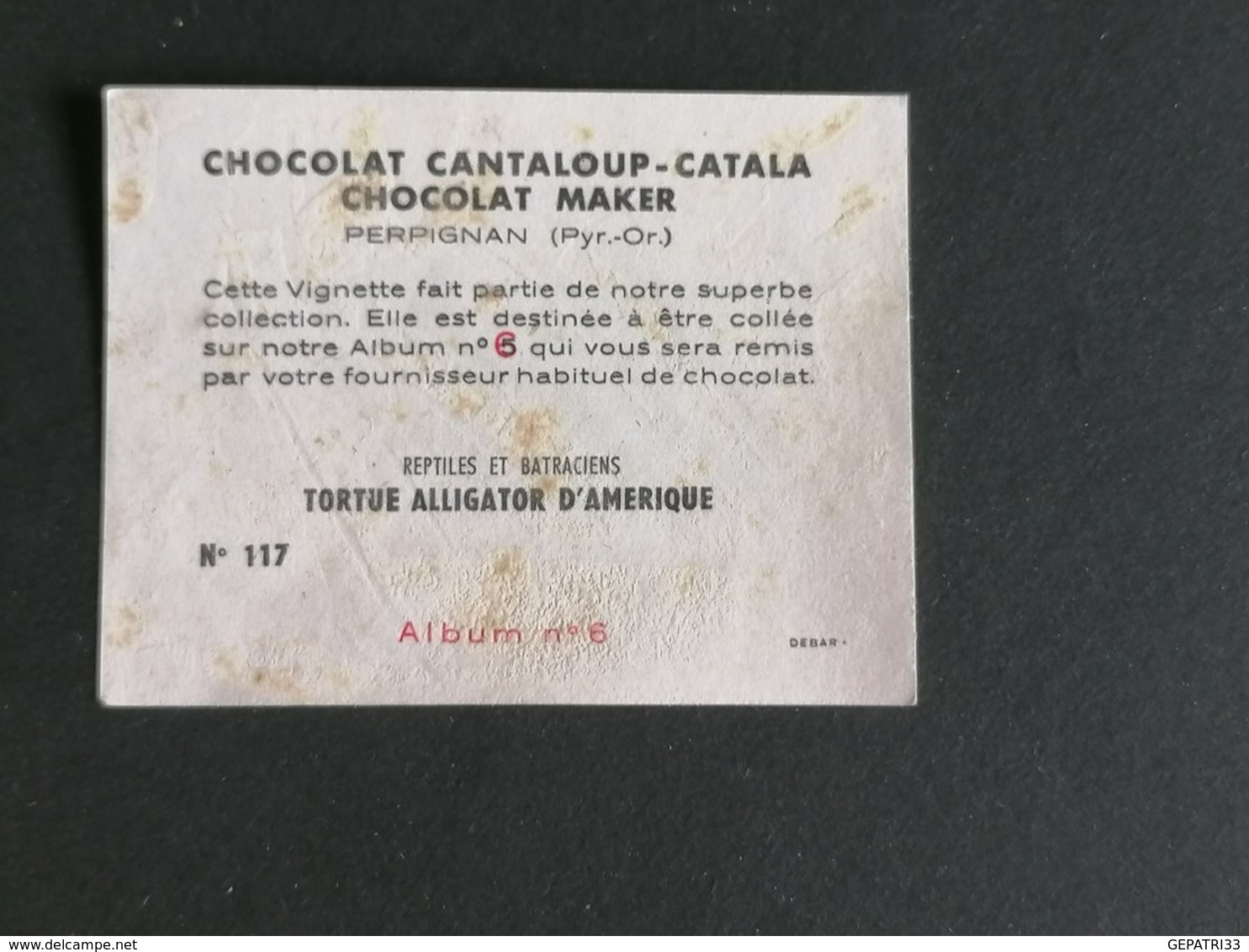 CHROMO PUBLICITAIRE -CHOCOLAT CANTALOUP-CATALA-CHOCOLAT MAKER TORTUE ALLIGATOR D'AMERIQUE N°117 PERPIGNAN - Other & Unclassified