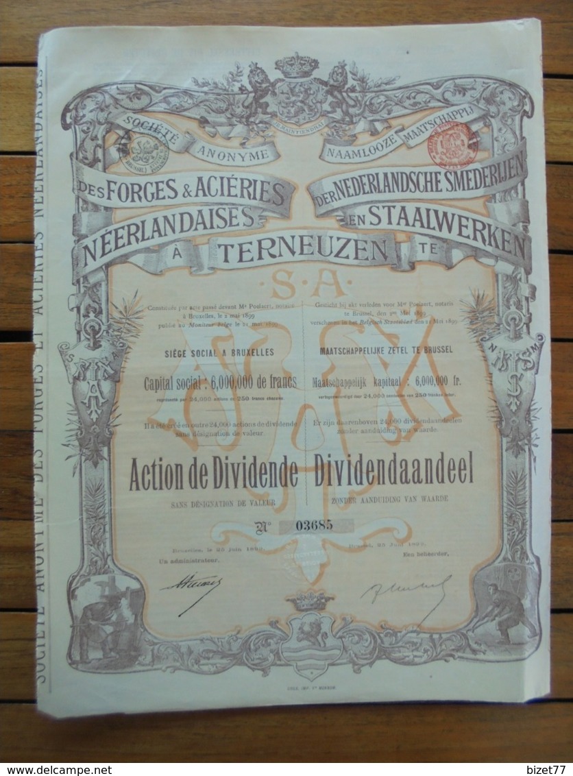 BELGIQUE - BRUXELLES 1899 - FORGES ET ACIERIES NEERLANDAISES - ACTION DE DIVIDENDE - BELLE DECO - Otros & Sin Clasificación