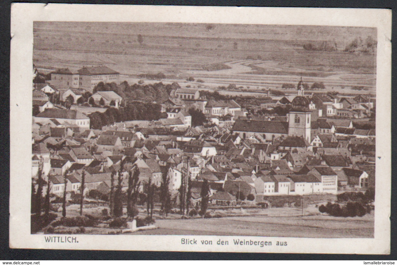 Allemagne, Wittlich, Blick Von Den Weinbergen Aus - Wittlich