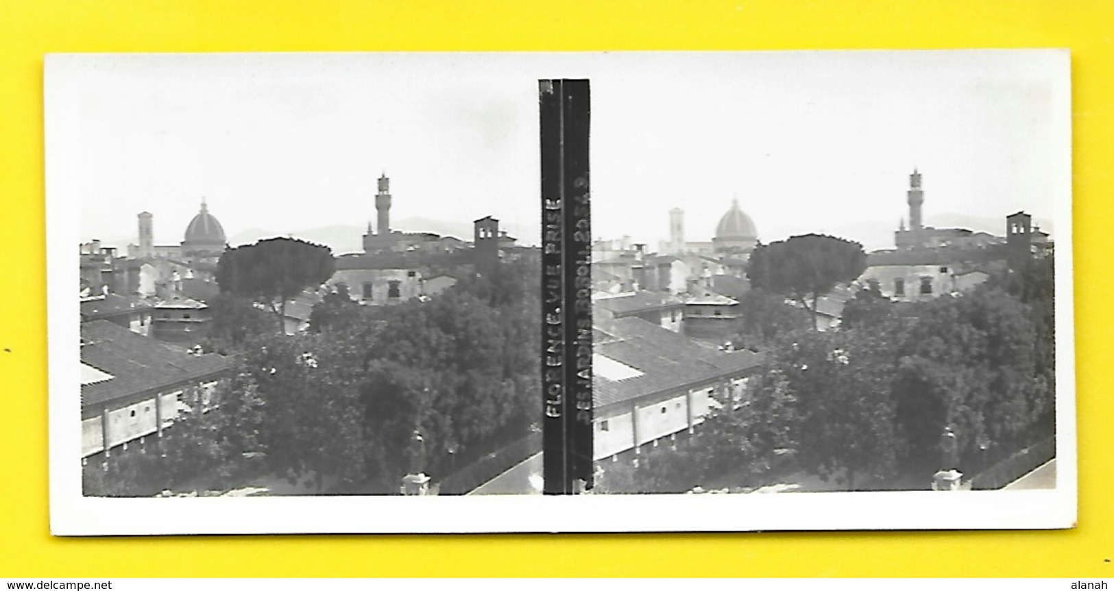 Vues Stéréos FLORENCE Vue Prise Des Jardins Boroli - Stereo-Photographie