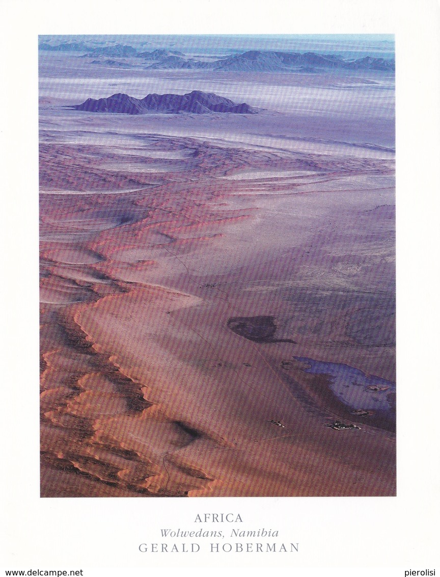 (ST074) - WOLWEDANS (Namibia) - Foto Di Gerald Hoberman - Namibia