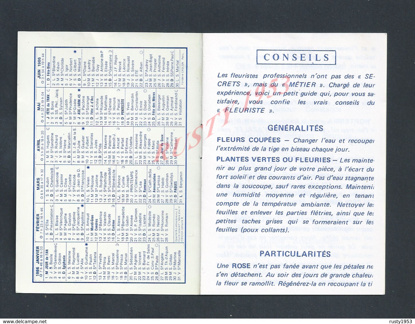 CALENDRIER 1986 TYPE CARNET CONSEILS FLEURS : - Kleinformat : ...-1900