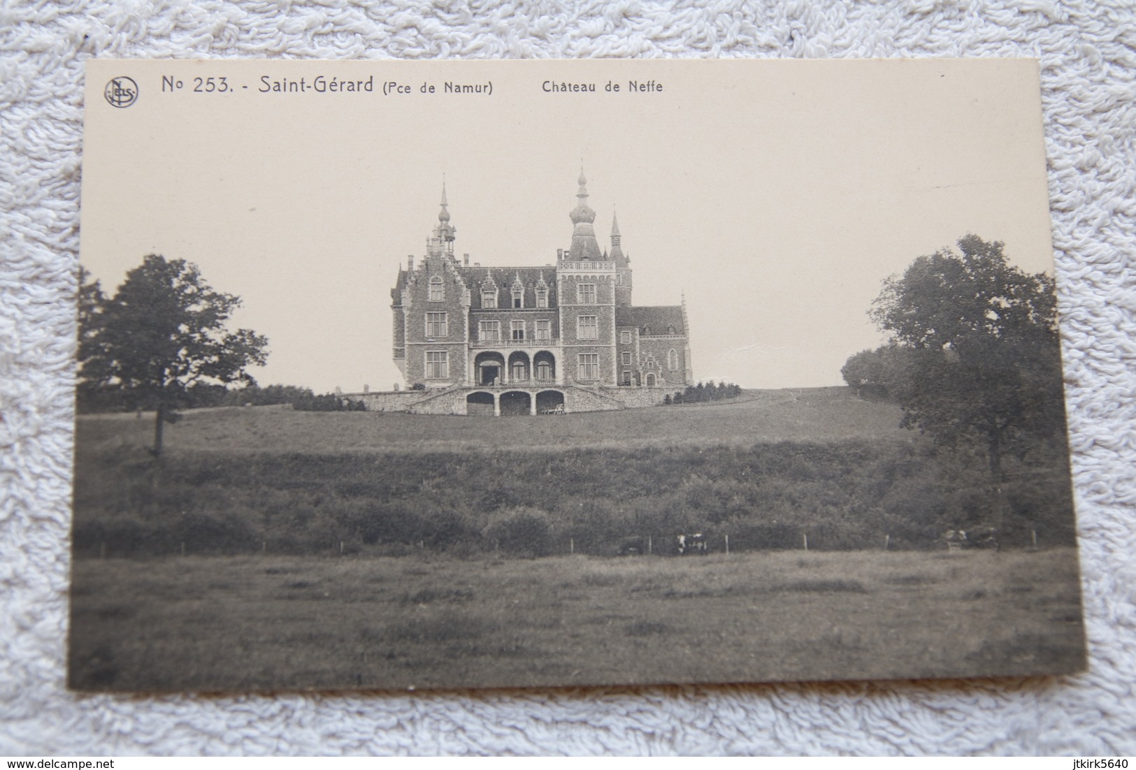 Saint-Gérard "Le Château De Neffe" - Mettet