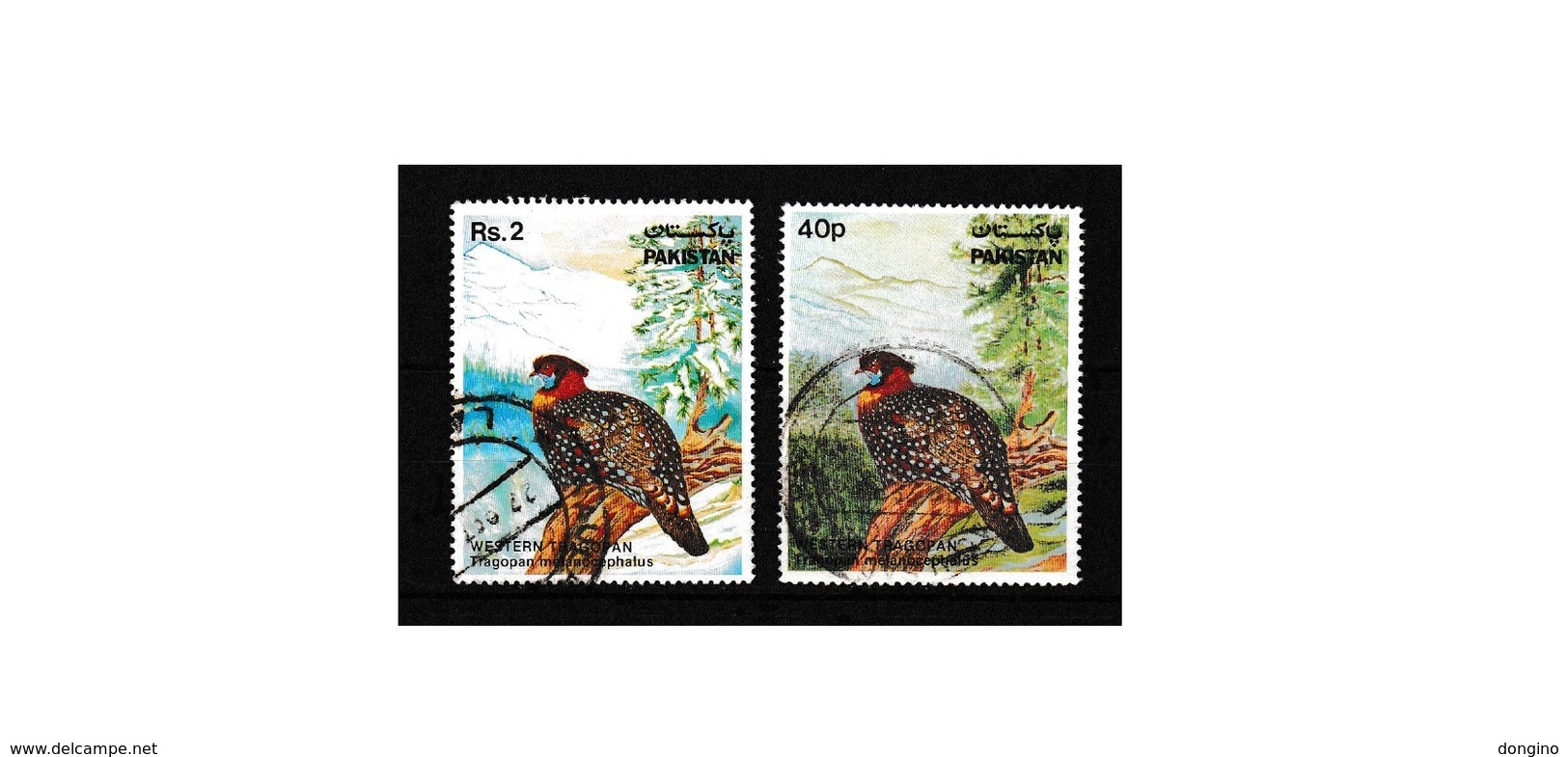 G421. Birds / Pajaros / Oiseaux / 1981 / Pakistan / Tragopan Melanocephalus / USED - Paons