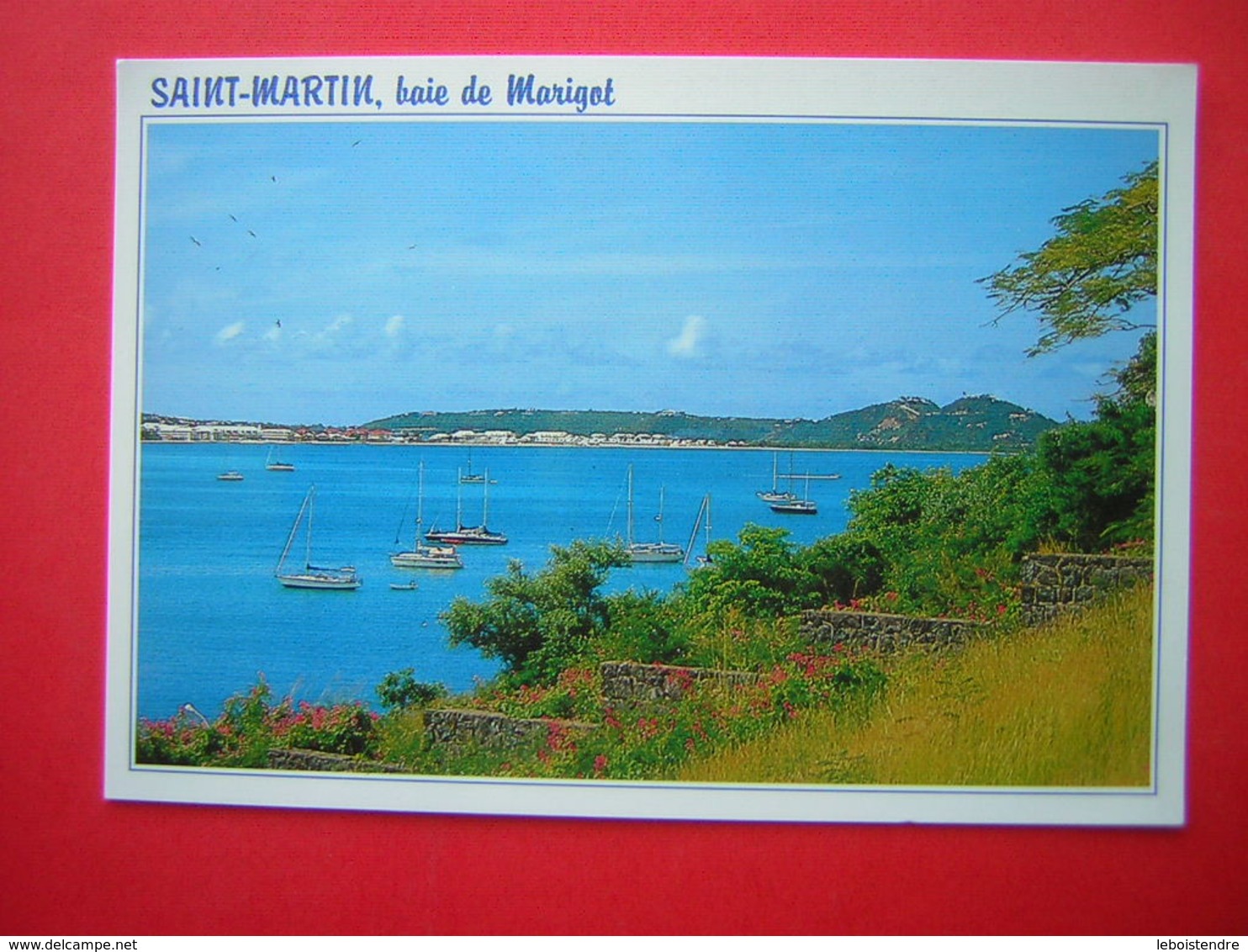 CPM ANTILLE  SAINT MARTIN  BAIE DE MARIGOT  VOYAGEE - Saint Martin