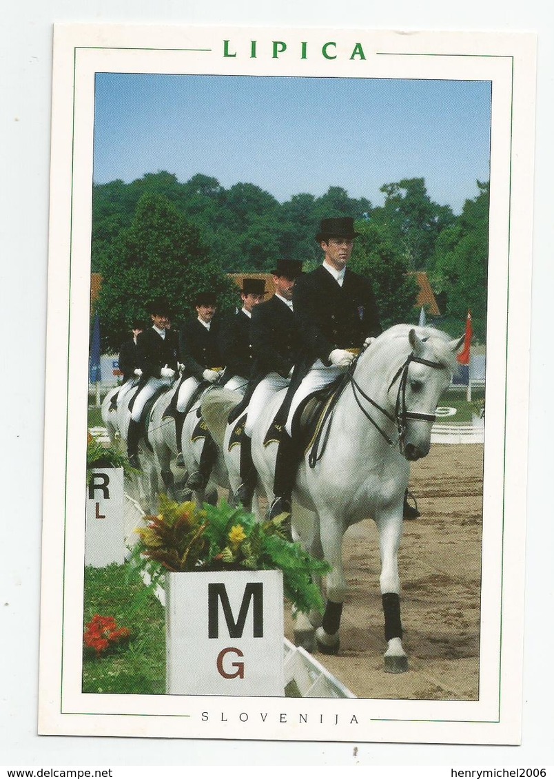 Cpm Slovénie Slovenija Lipica Chevaux Centre Equestre - Slovénie