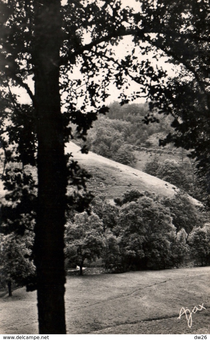 Montfaucon Du Velay (Haute-Loire) Bois Du Martinet - Carte Ajax N° 4 - Montfaucon En Velay