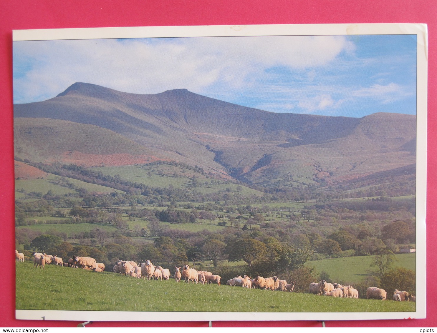 Visuel Très Peu Courant - Pays De Galles - Bannau Brycheiniog Powys Cymru - Recto Verso - Pembrokeshire