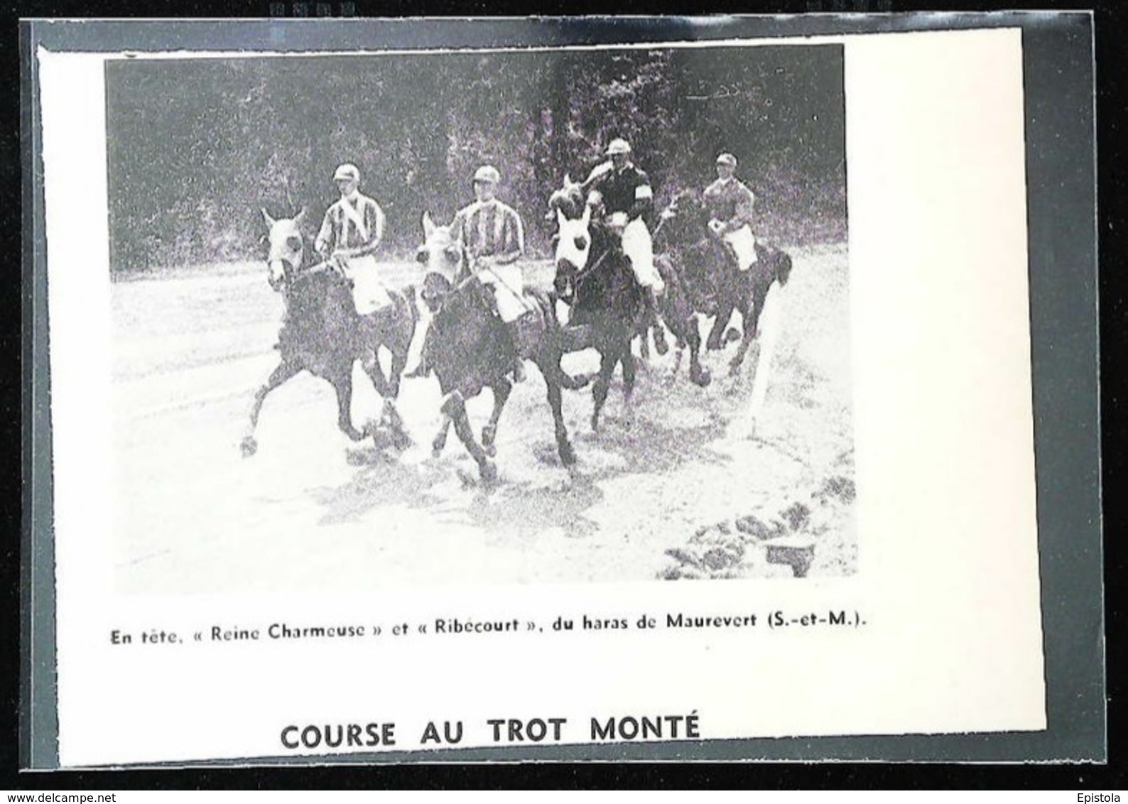 Haras De MAUREVERT  - Course Dau Trot Monté   - Coupure De Presse (encadré Photo) 1951 - Equitation