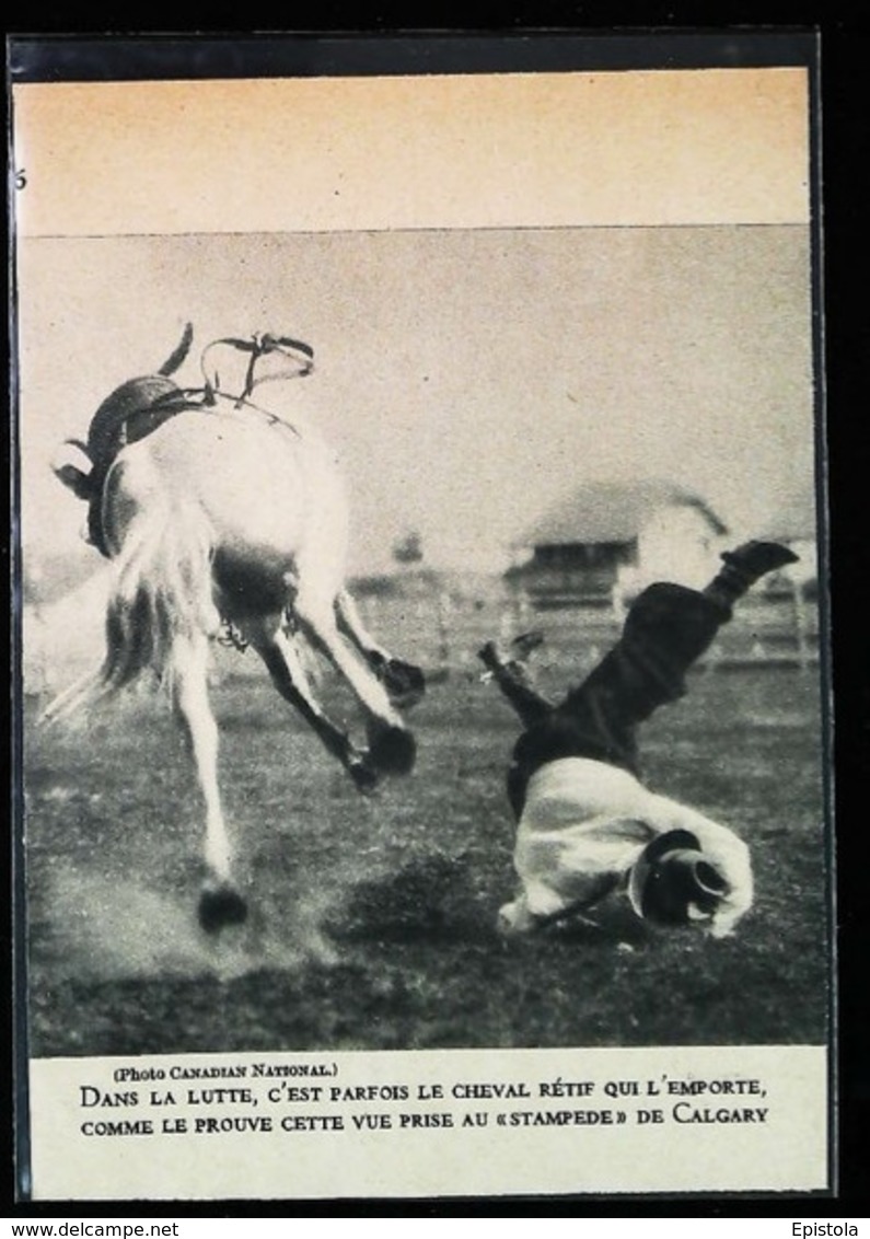 CALGARY (canada) - Rodéo Stampede Avec Cheval  - Coupure De Presse (encadré Photo) 1922 - Hipismo