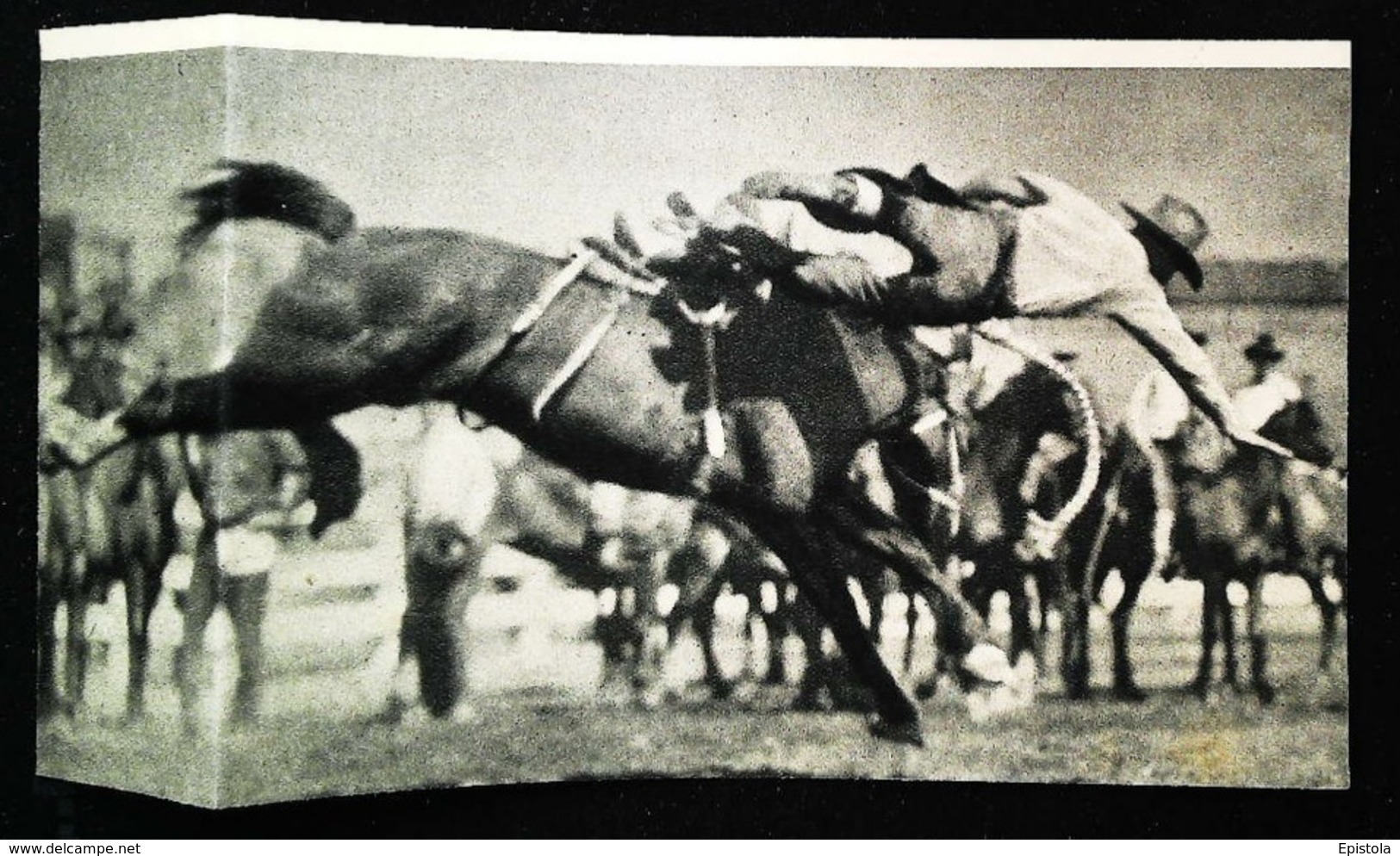 CALGARY (canada) - Rodéo Stampede Avec Cheval  - Coupure De Presse (encadré Photo) 1922 - Ruitersport