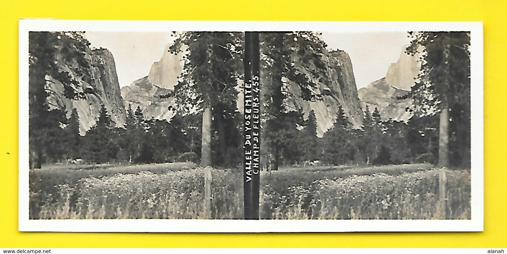 Vues Stéréos Vallée Du Yosémite Champ De Fleurs - Stereo-Photographie