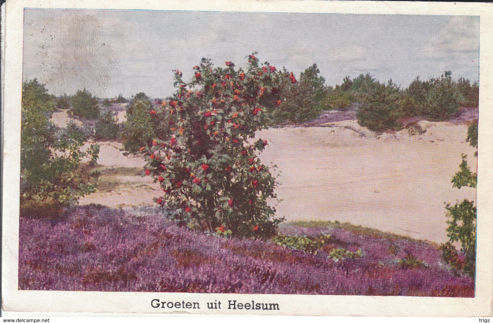 Heelsum - Renkum