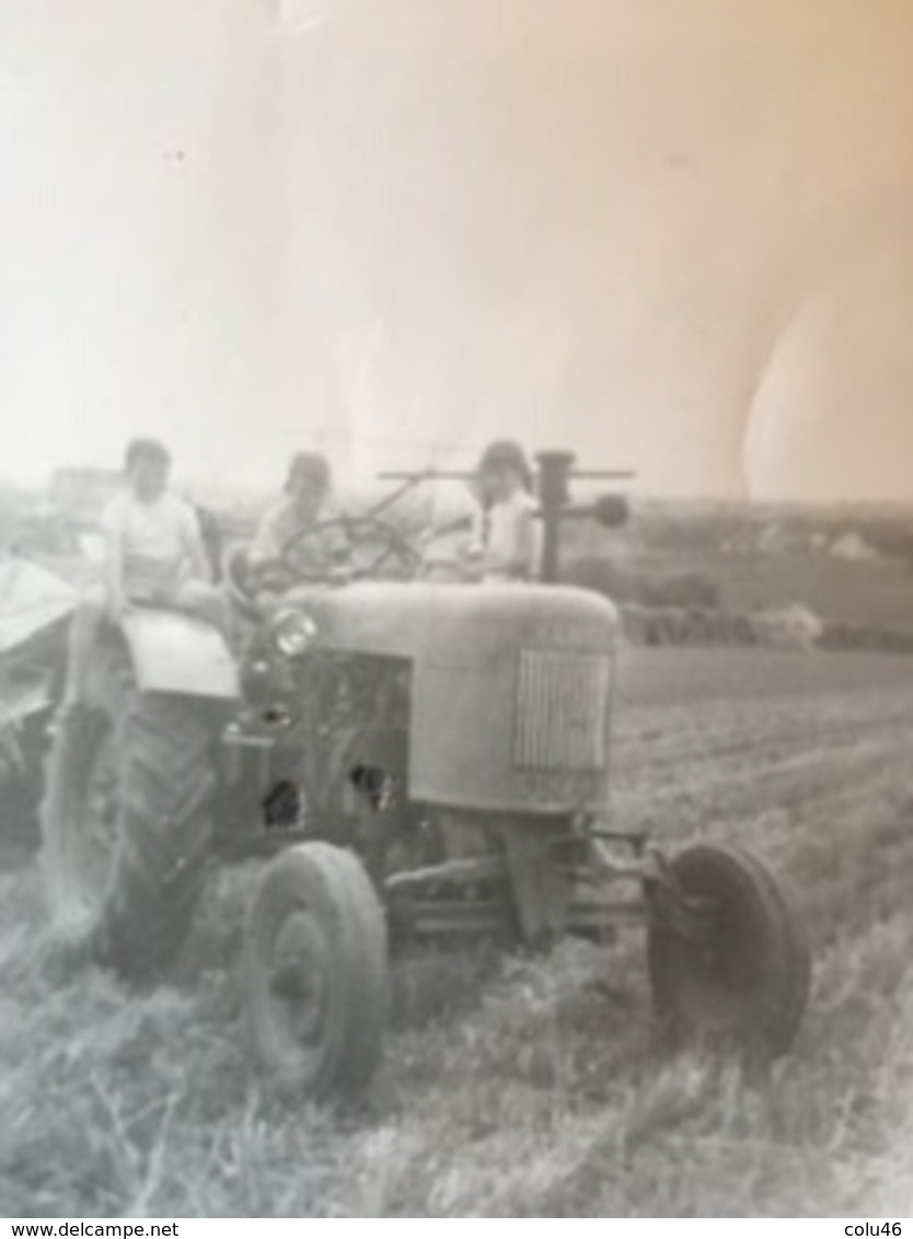 1940-1950 Photo Originale Tracteur Travaux Des Champs Agriculture Agrip Diesel ? Massey-Harris ? - Tracteurs