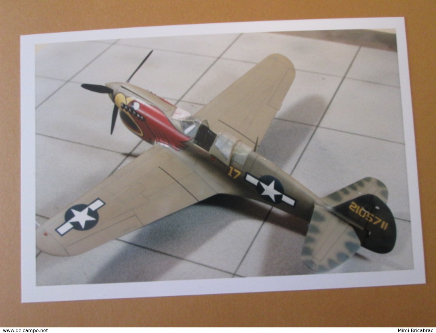 CAGI3 Format Carte Postale Env 15x10cm : SUPERBE TIRAGE UNIQUE PHOTO MAQUETTE PLASTIQUE 1/48e P-40 USAF - Vliegtuigen