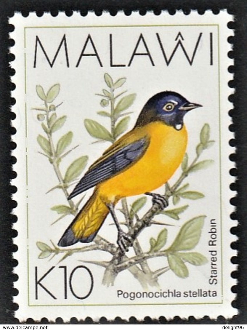 1994 Malawi High Value Definitive: White-starred Robin Stamp (** / MNH / UMM) - Sperlingsvögel & Singvögel