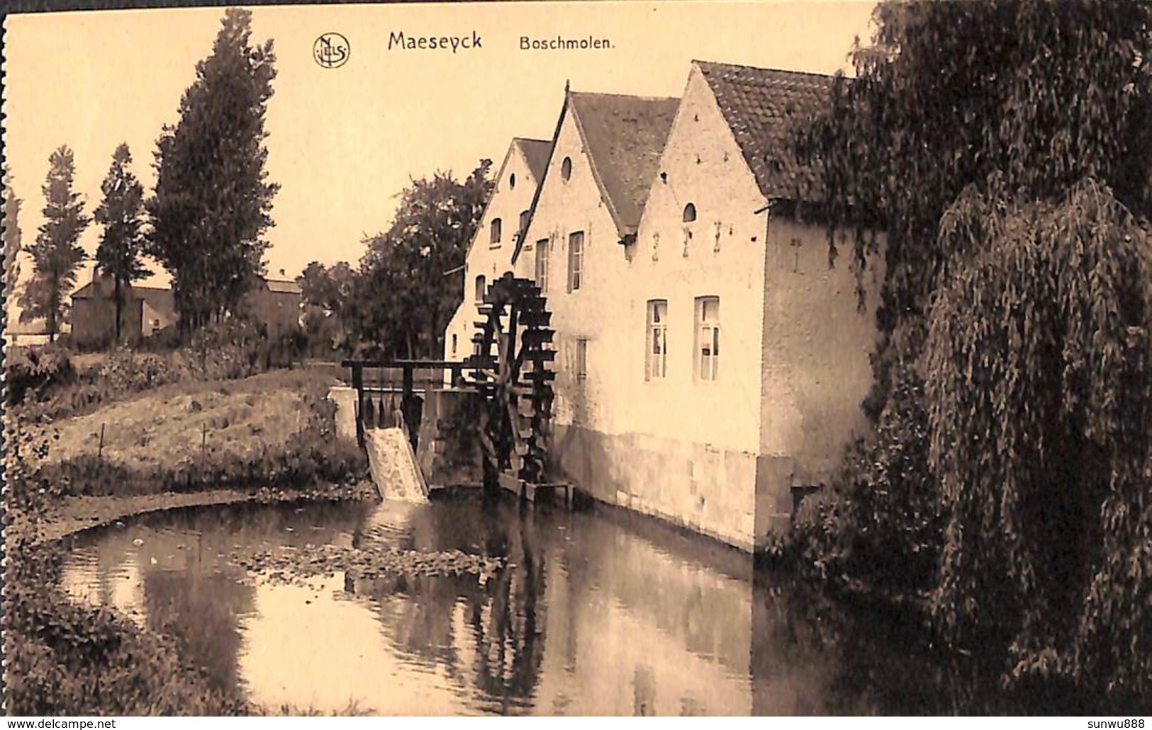 Maaseik Maeseyck - Boschmolen (vaste Prijs) - Maaseik