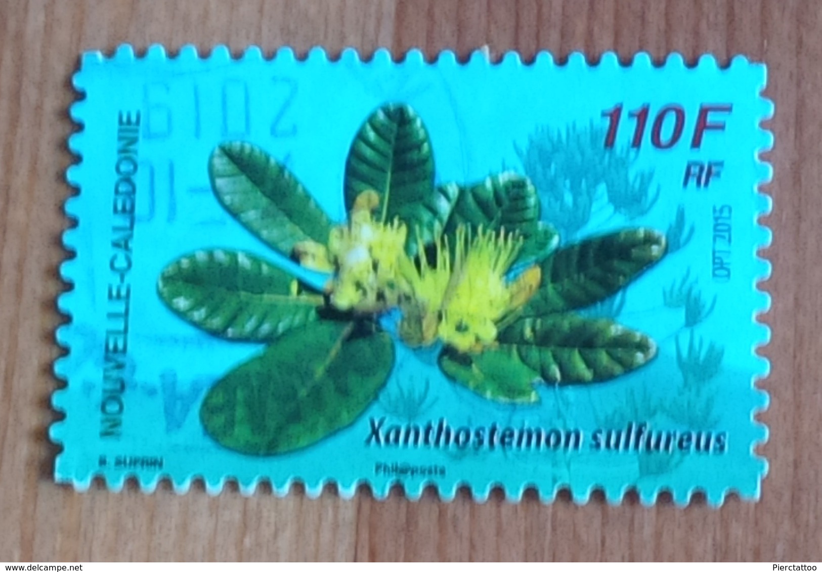 Xanthostemon Sulfureus (Fleur) - Nouvelle Calédonie - 2015 - YT 1256 - Used Stamps