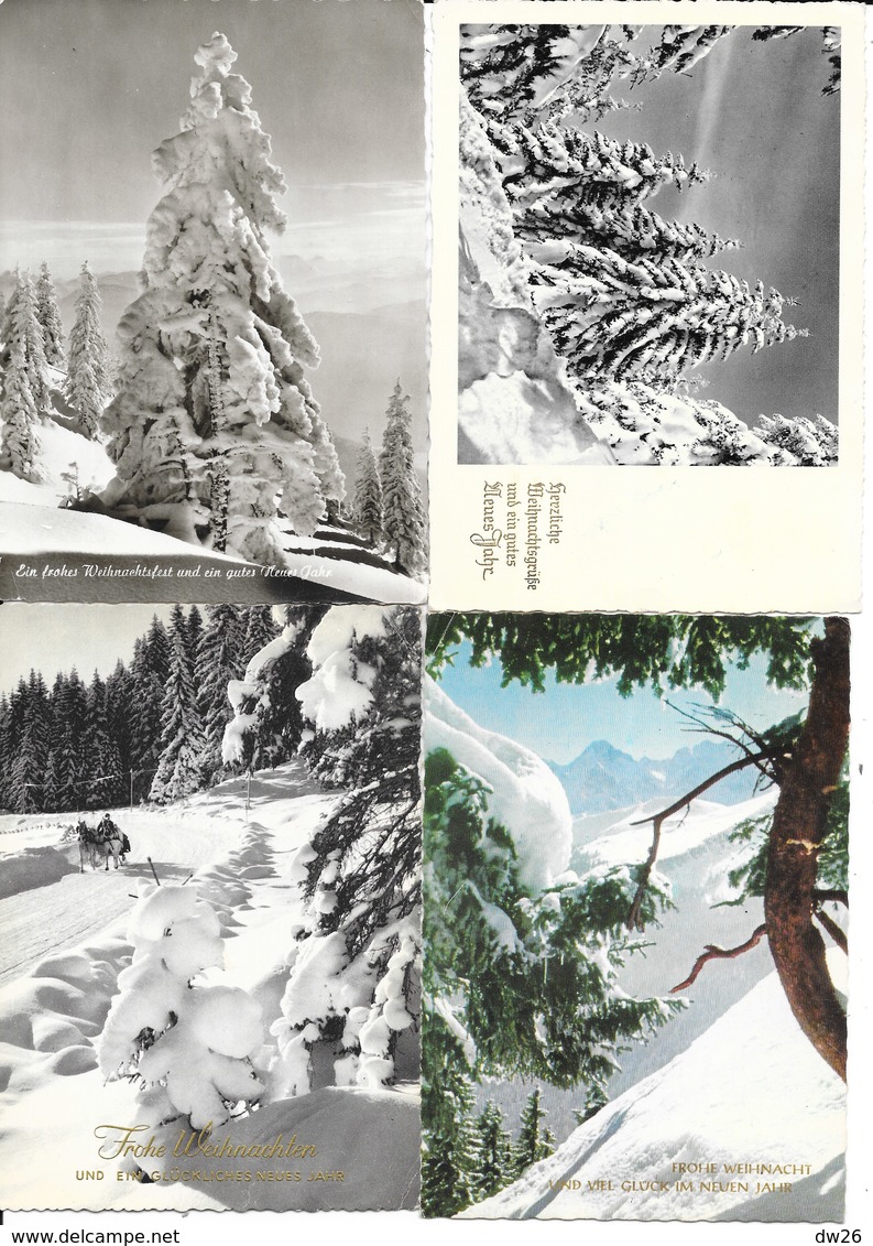 Lot N° 108 De 24 Cartes Nouvel An (Photos Sapins, Allemagne) Frohes Weihnachtsfest Und Ein Gites Neues Jähr - 5 - 99 Karten