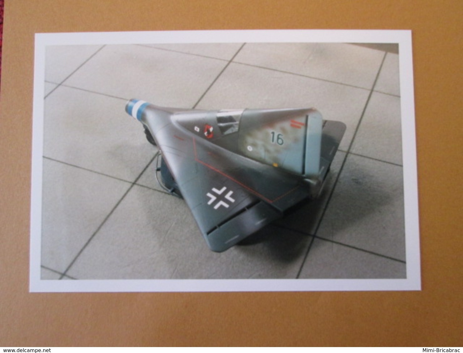 CAGI3 Format Carte Postale Env 15x10cm : SUPERBE (TIRAGE UNIQUE) PHOTO MAQUETTE PLASTIQUE 1/48 AILE VOLANTE LIPPISCH - Vliegtuigen