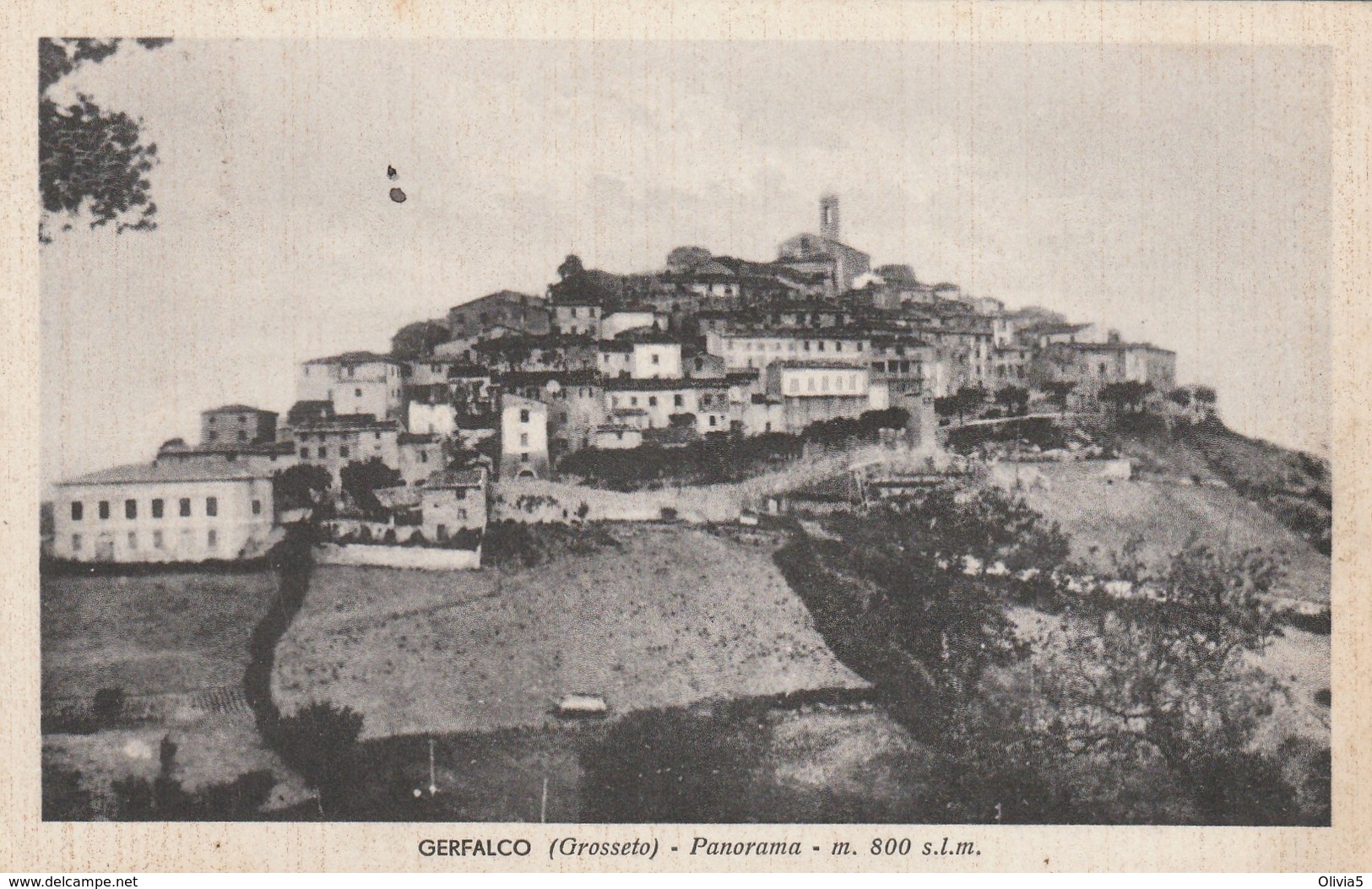 GERFALCO - PANORAMA - Grosseto