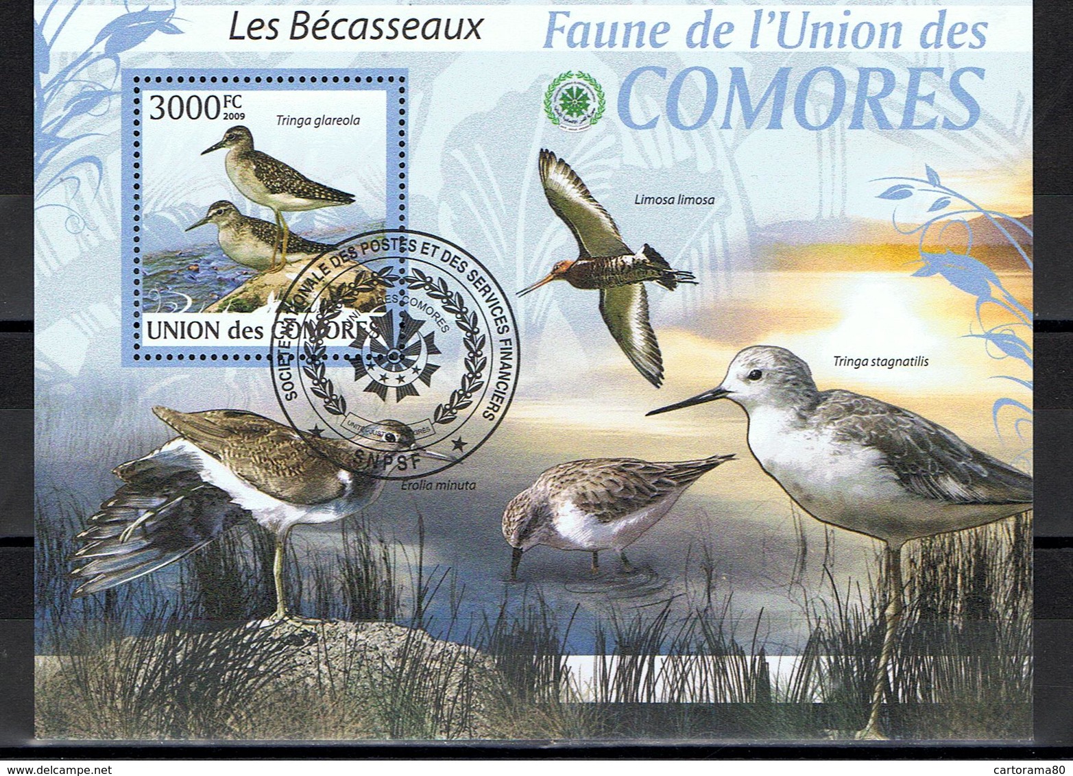 Bécasseau / Bécasseaux / BF Oblitéré / Union Des Comores - Altri & Non Classificati
