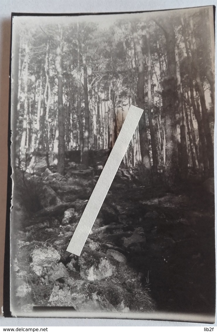 1915 munster gunsbach alsace tranchée allemands snipper tireur élite decauville abris fran sidi brahim14-18 14 photos