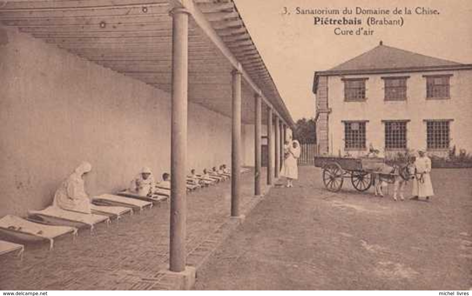 Piétrebais - Sanatorium Du Domaine De La Chise - Cure D'air - Animée - Circulé En 1932 - Incourt - TBE - Incourt