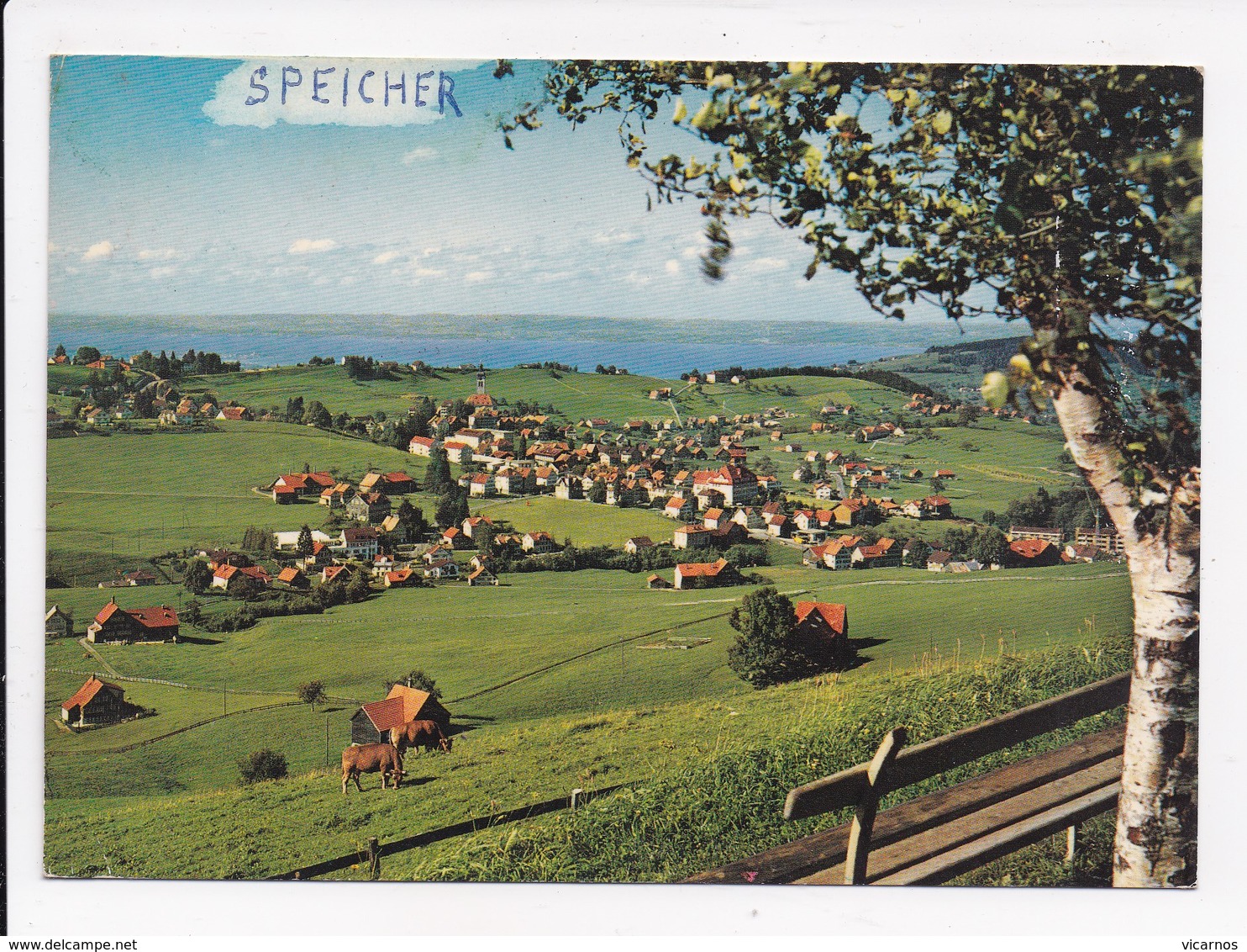 CP SUISSE SPEICHER Blick Zum Bodensee - Speicher