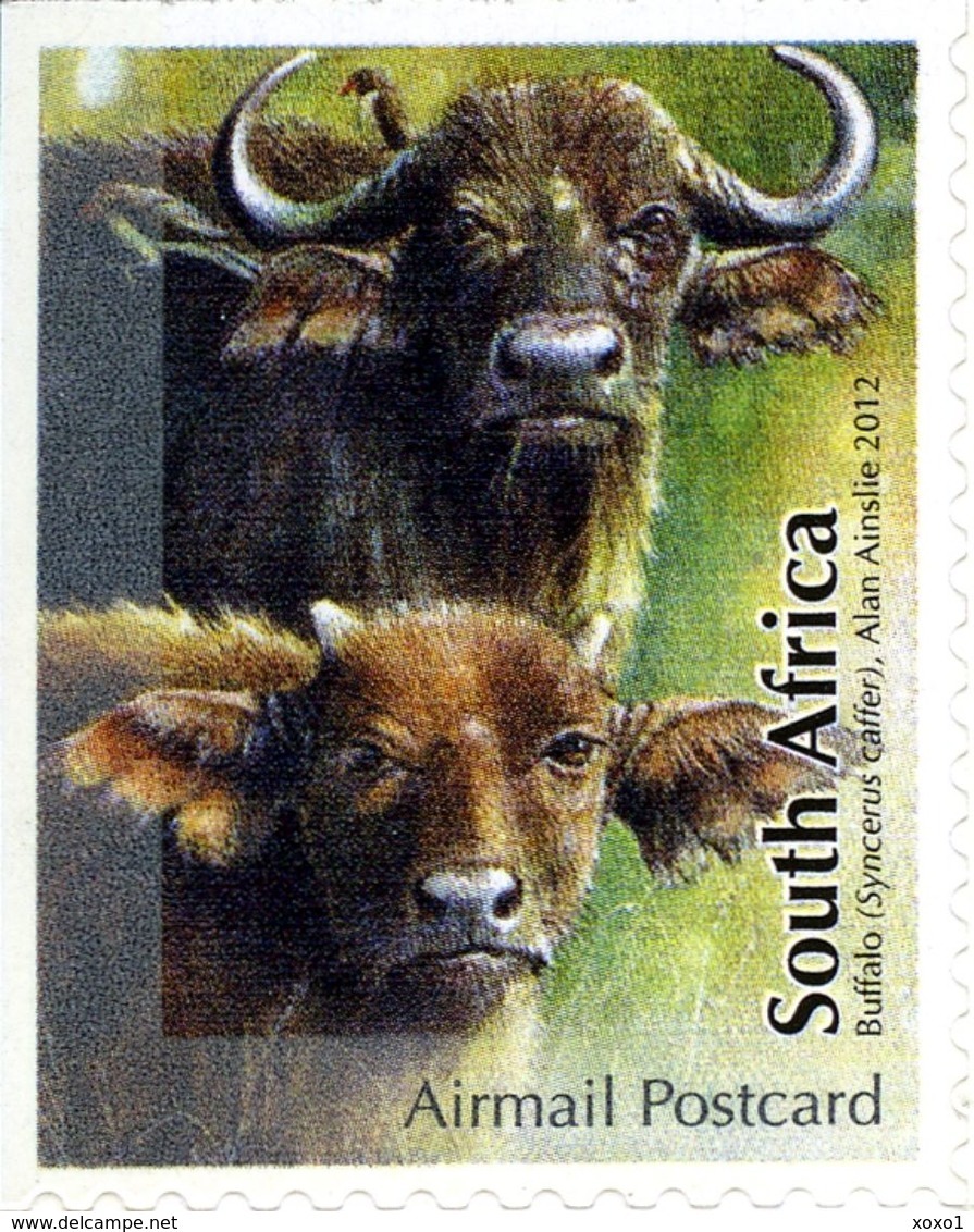 South Africa Südafrika 2012 Animals 5v  MNH** - Neufs