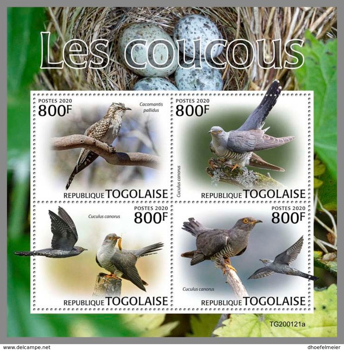 TOGO 2020 MNH Cuckoos Kuckucke Coucous M/S - OFFICIAL ISSUE - DH2016 - Cuckoos & Turacos