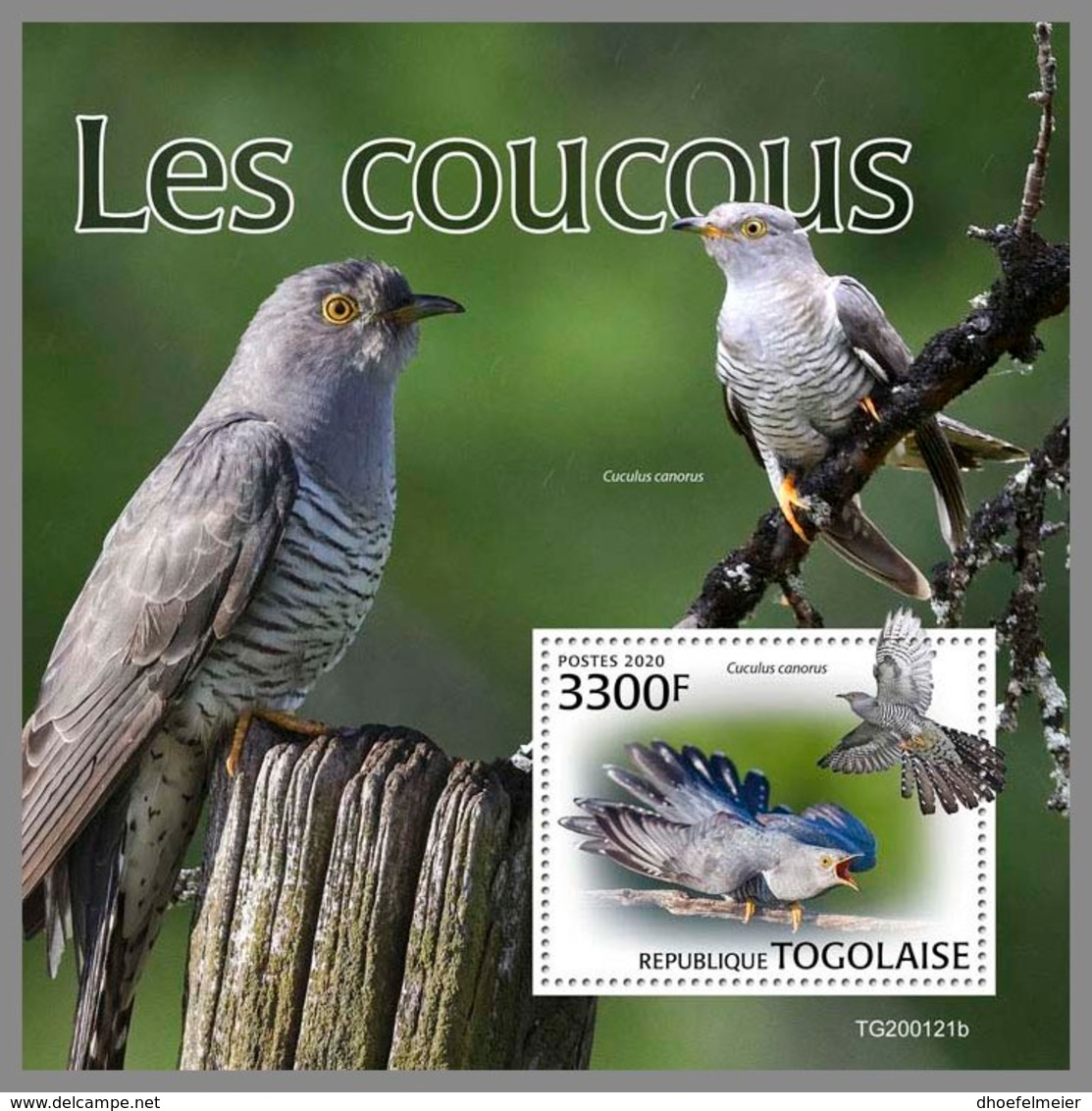 TOGO 2020 MNH Cuckoos Kuckucke Coucous S/S - OFFICIAL ISSUE - DH2016 - Cuco, Cuclillos