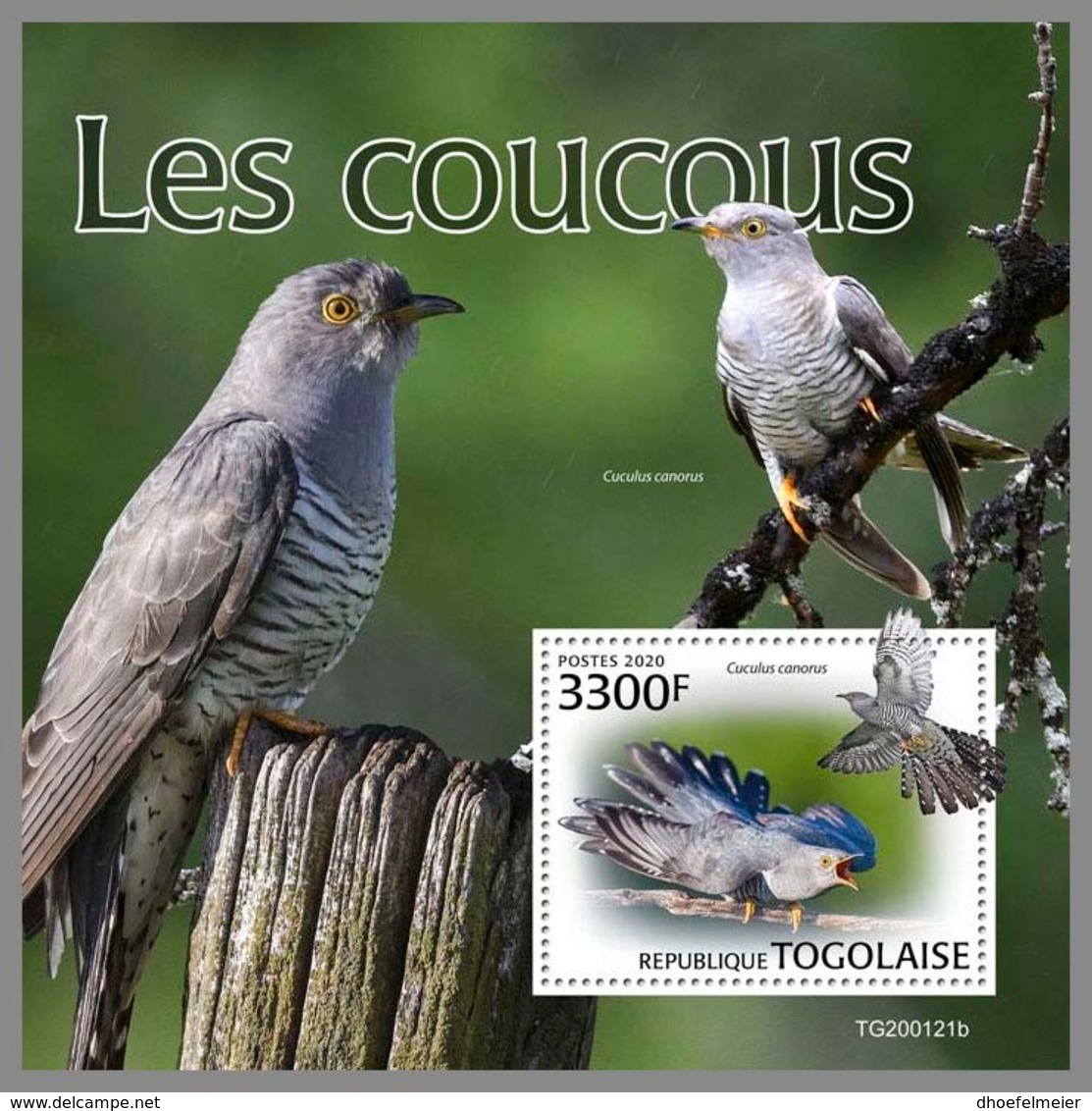 TOGO 2020 MNH Cuckoos Kuckucke Coucous S/S - OFFICIAL ISSUE - DH2016 - Kuckucke & Turakos
