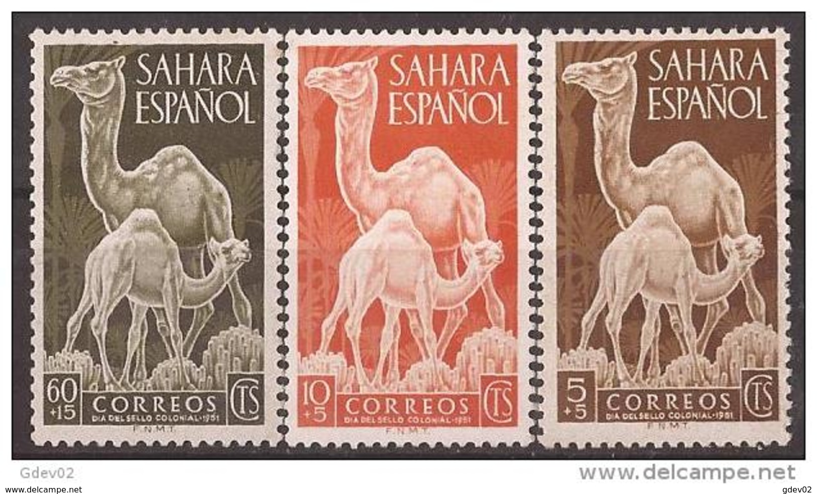 SA91SCSF-L4207-TEUESPVACU.Spain Espagne SAHARA ESPAÑOL Dia Del Sello.DROMEDARIOS,CAMELLOS.1951. (Ed 91/3**)s/c . - Variedades & Curiosidades