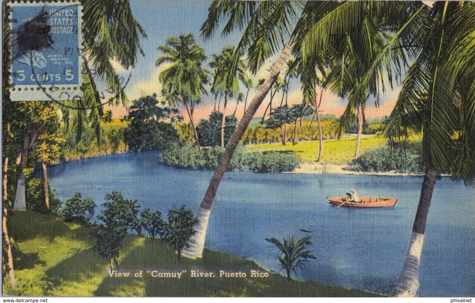 1949  PUERTO RICO - T.P. CIRCULADA ,VIEW OF " CAMUY " RIVER - Puerto Rico